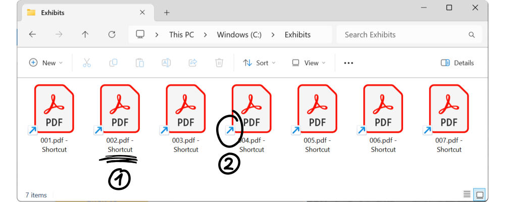Shortcuts to PDFs CantLoad02
