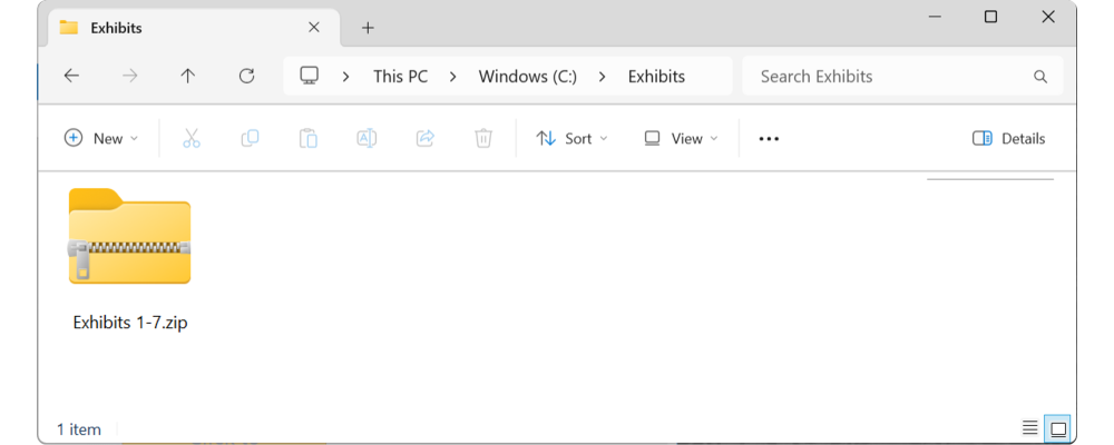 Are Your Exhibits in a Zip Archive? CantLoad03