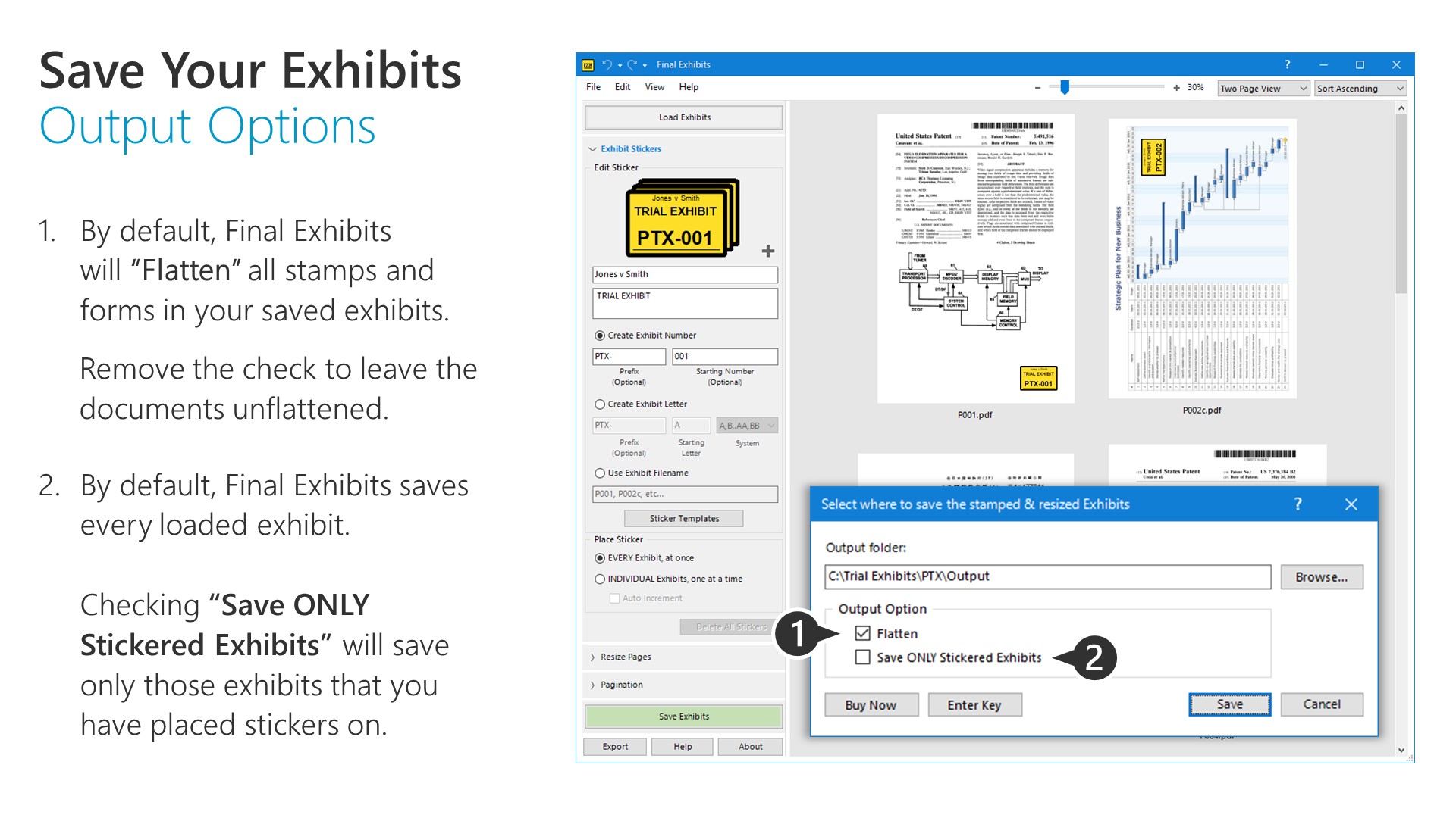 Save Your Exhibits Output Options FE198_14