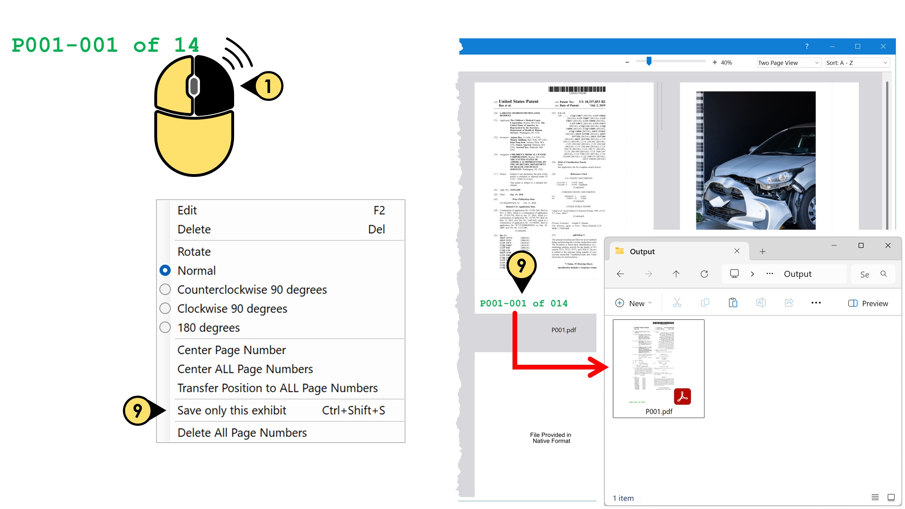 Save only this stamped exhibit pagination15