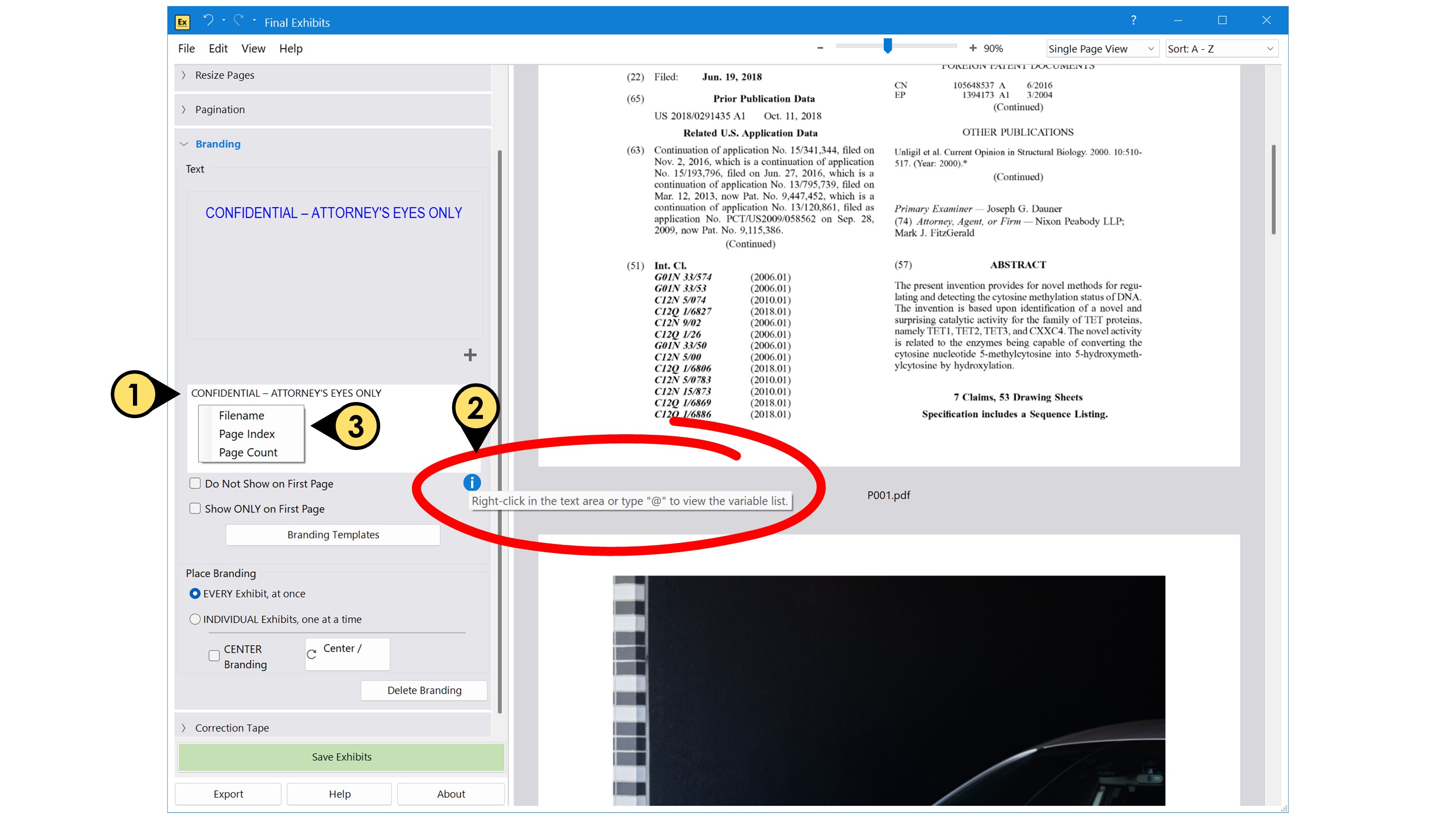 Edit the text on your branding template with text variables branding4