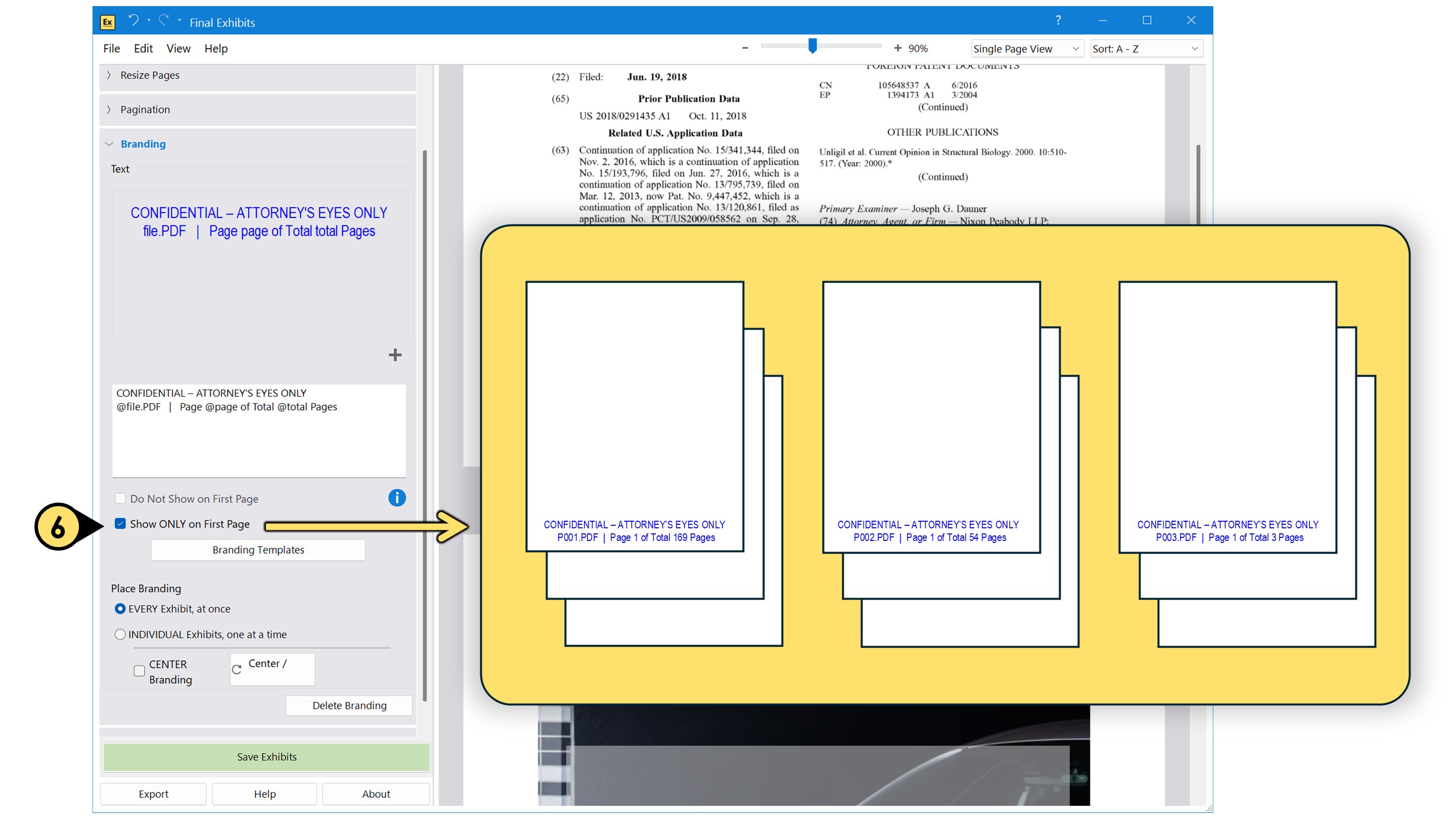 Show branding on only the first page of every exhibit branding7