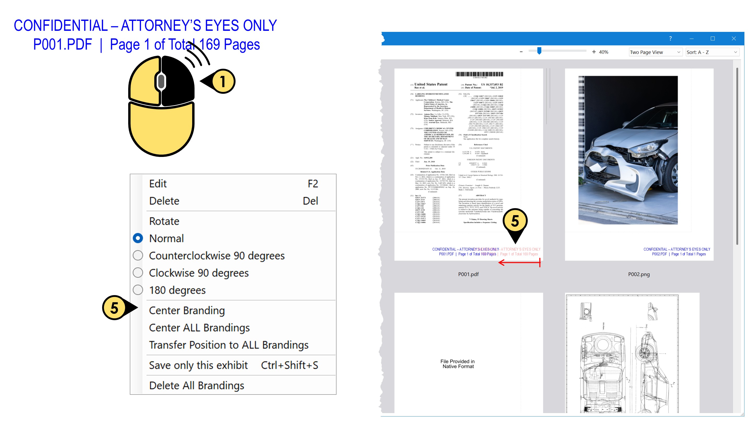 center a branding on that specific exhibit branding13