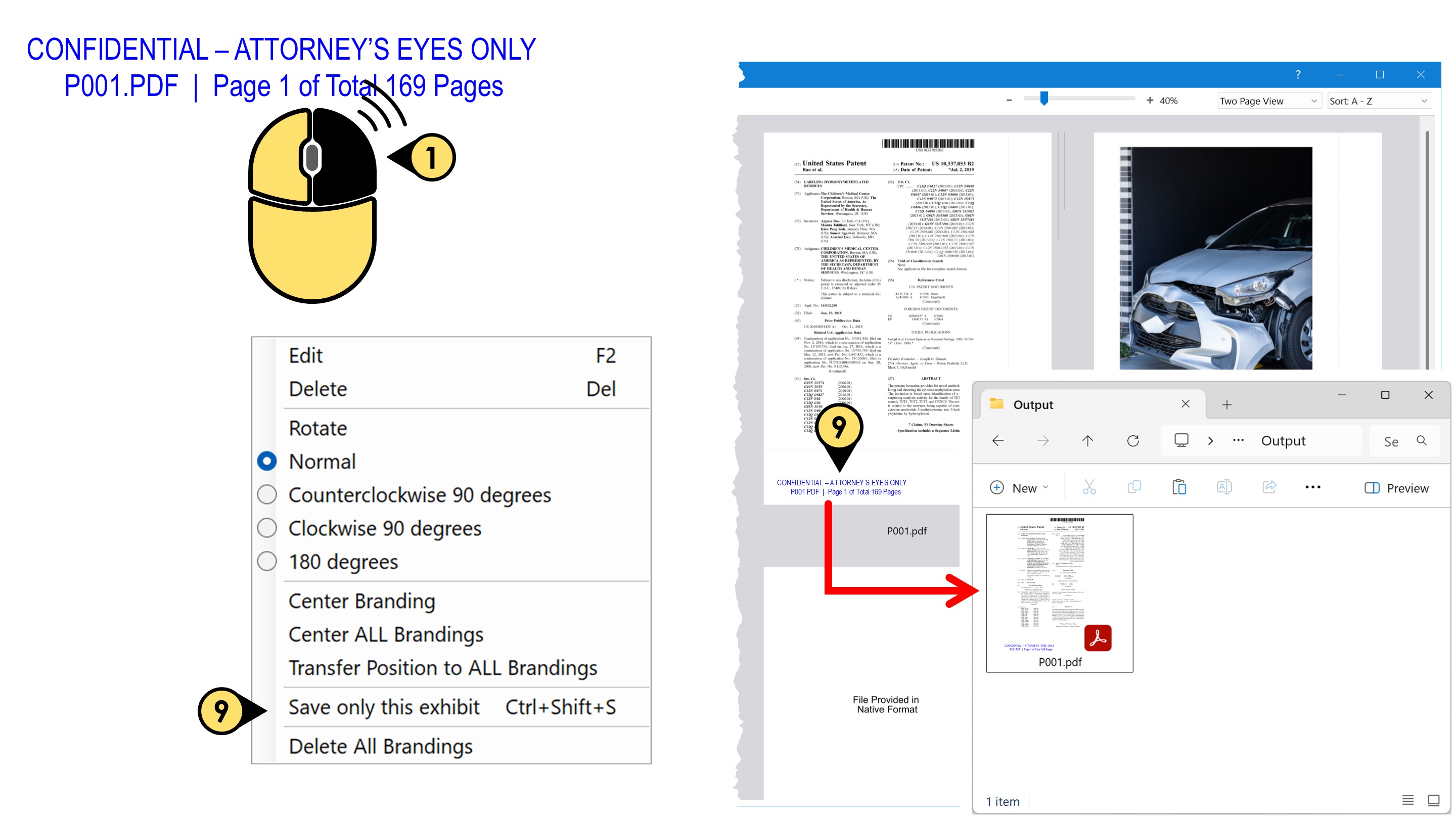 Save only this stamped exhibit branding16