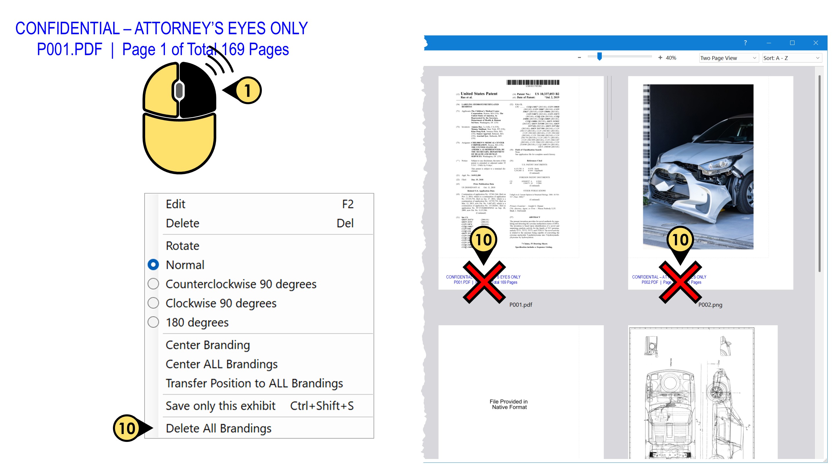 delete all of the existing brandings on your exhibits branding17