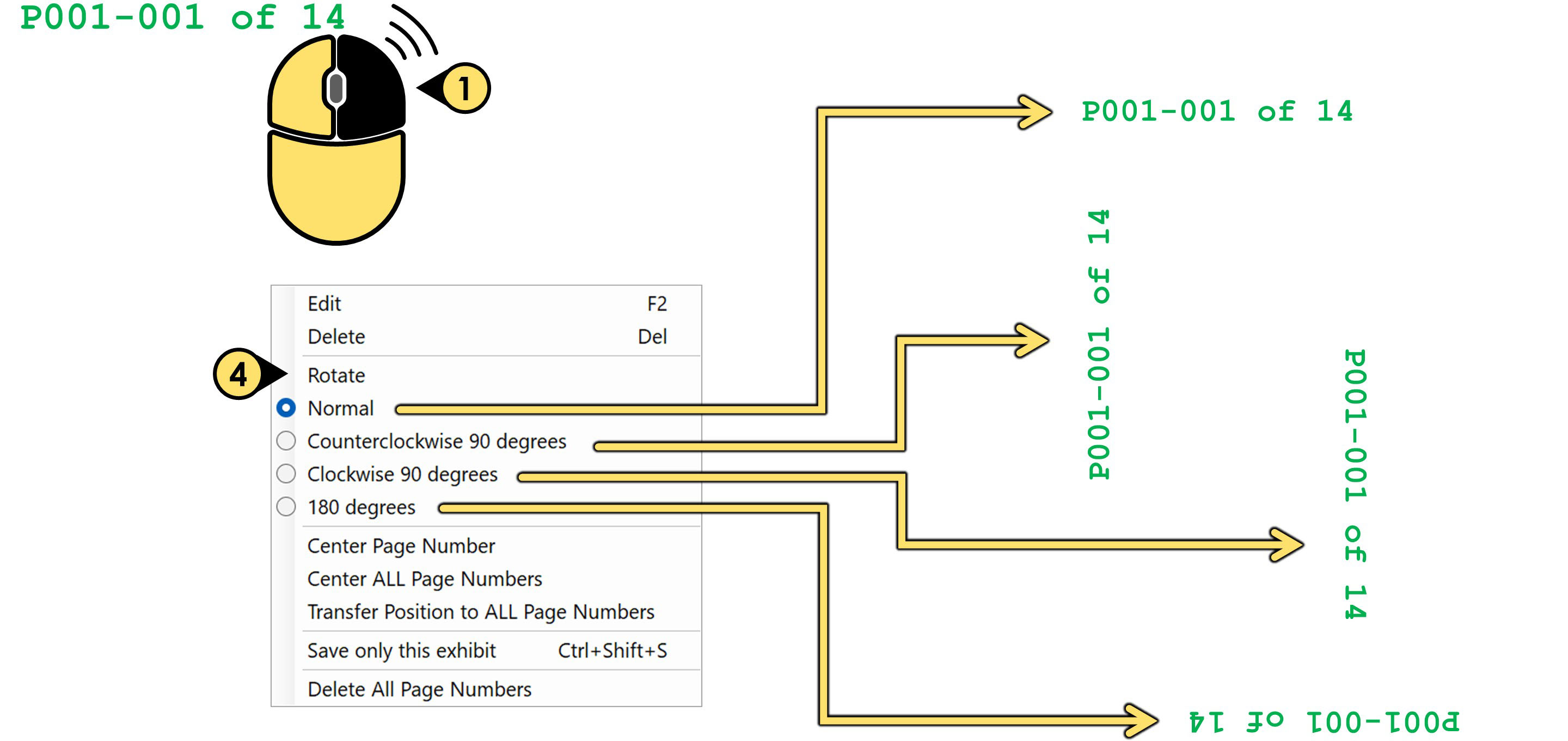 pagination11